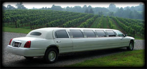 Limousine at Shelton Vinyard, NC